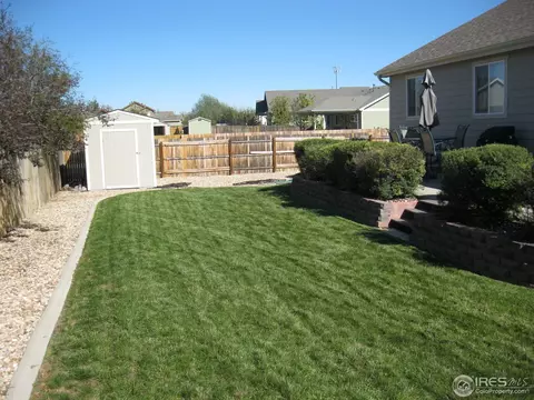 250 Opal Ct, Windsor, CO 80550 photo 20