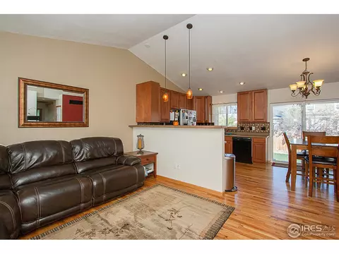 250 Opal Ct, Windsor, CO 80550 photo 5