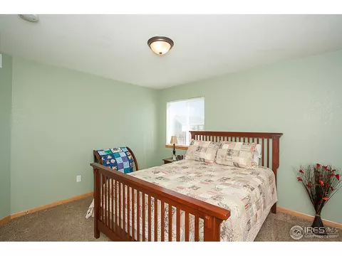 250 Opal Ct, Windsor, CO 80550 photo 14