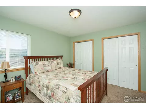 250 Opal Ct, Windsor, CO 80550 photo 12