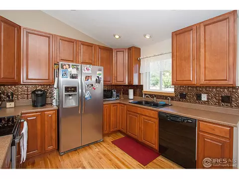 250 Opal Ct, Windsor, CO 80550 photo 7