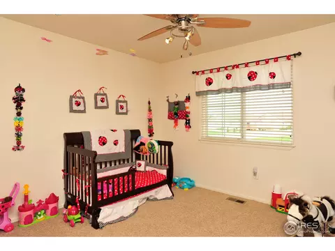 5352 Rustic Ave, Firestone, CO 80504 photo 16