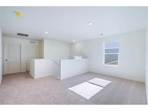 4972 Buelingo Dr, Windsor, CO 80528 photo 11