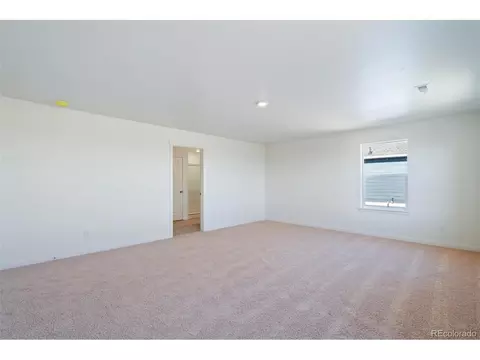 4972 Buelingo Dr, Windsor, CO 80528 photo 13