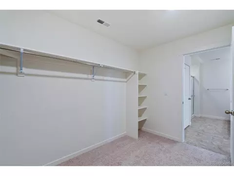 4972 Buelingo Dr, Windsor, CO 80528 photo 15