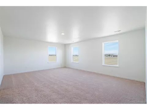 4972 Buelingo Dr, Windsor, CO 80528 photo 12