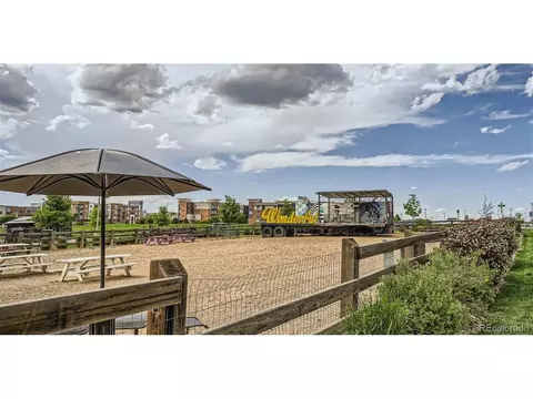 16729 E Irwin Ave, Centennial, CO 80016 photo 20