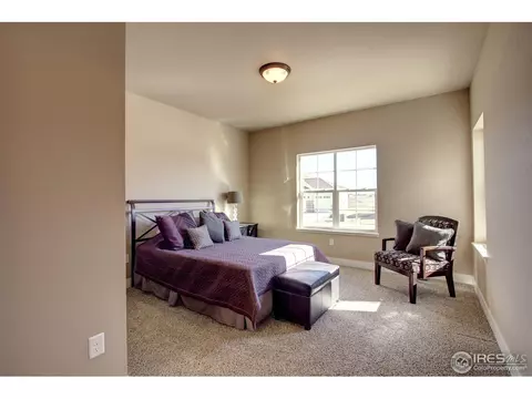 7338 Balcarrick Ct, Windsor, CO 80550 photo 14