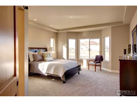 7338 Balcarrick Ct, Windsor, CO 80550 photo 11