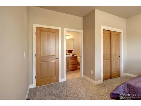 7338 Balcarrick Ct, Windsor, CO 80550 photo 16