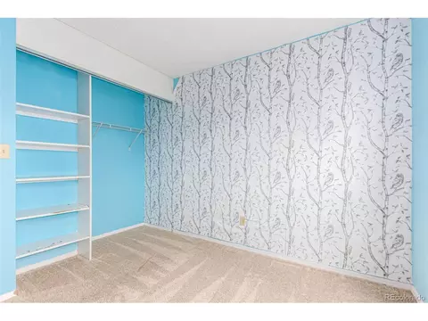 4414 Eagle St, Denver, CO 80239 photo 27
