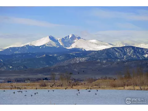 6801 Wildshore Dr, Timnath, CO 80547 photo 2