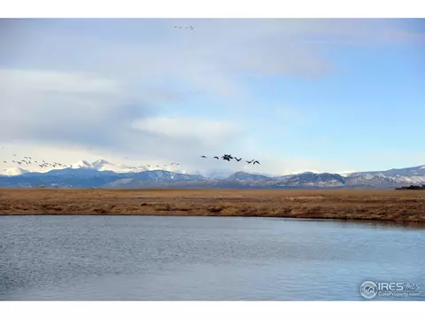 6801 Wildshore Dr, Timnath, CO 80547 photo 1
