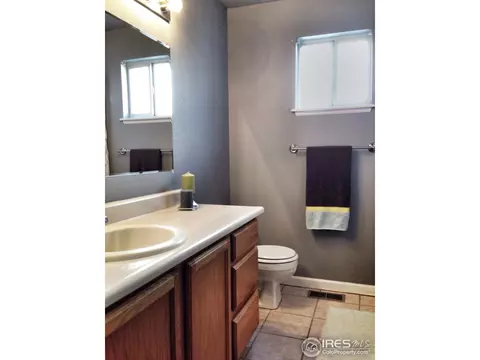 441 Poplar Cir, Brighton, CO 80601 photo 10