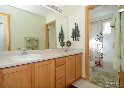 5101 E 116th Ave, Thornton, CO 80233 photo 18