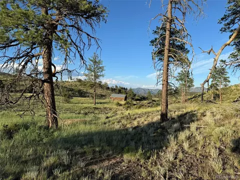 788 35th Trl, Cotopaxi, CO 81223 photo 2