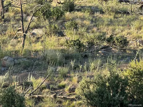 788 35th Trl, Cotopaxi, CO 81223 photo 20