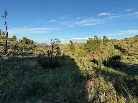 788 35th Trl, Cotopaxi, CO 81223 photo 21