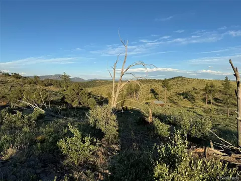 788 35th Trl, Cotopaxi, CO 81223 photo 27
