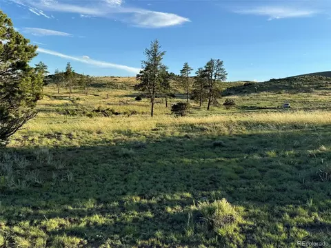 788 35th Trl, Cotopaxi, CO 81223 photo 22