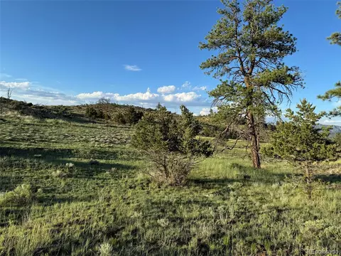 788 35th Trl, Cotopaxi, CO 81223 photo 4