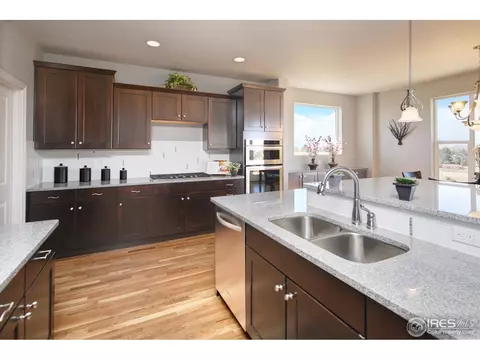 1077 Hawkshead St, Timnath, CO 80547 photo 8
