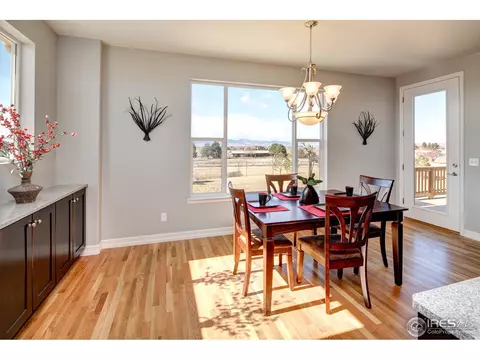 1077 Hawkshead St, Timnath, CO 80547 photo 6