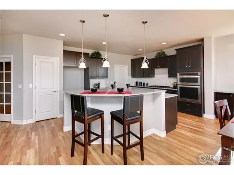 1077 Hawkshead St, Timnath, CO 80547 photo 7