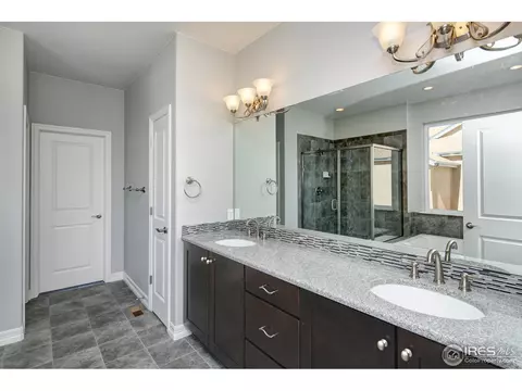 1077 Hawkshead St, Timnath, CO 80547 photo 12