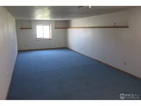 11 Orchid Ct, Windsor, CO 80550 photo 8