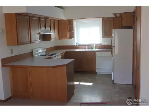 11 Orchid Ct, Windsor, CO 80550 photo 7