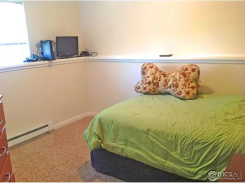 11184 Forest Ave, Thornton, CO 80233 photo 13