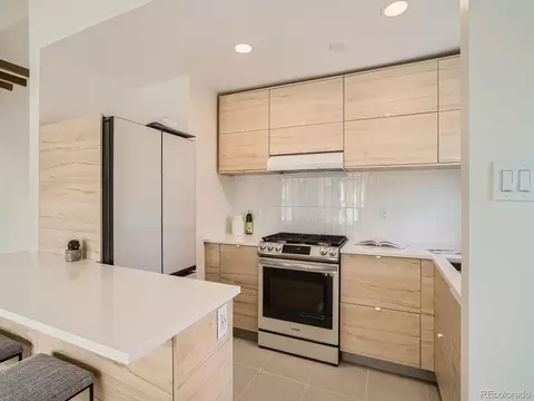 715 E 5th Ave, Denver, CO 80203 photo 9