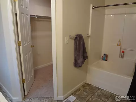 607 Foxtail Way, Severance, CO 80550 photo 6