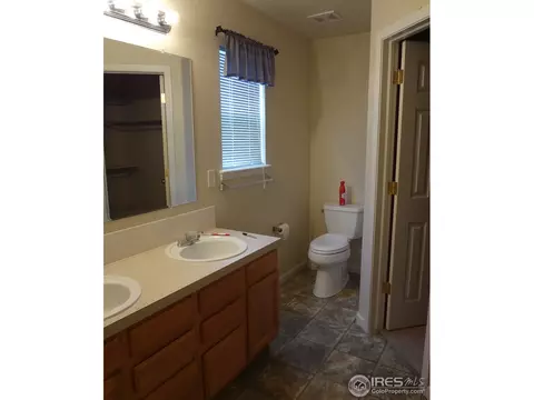 607 Foxtail Way, Severance, CO 80550 photo 5