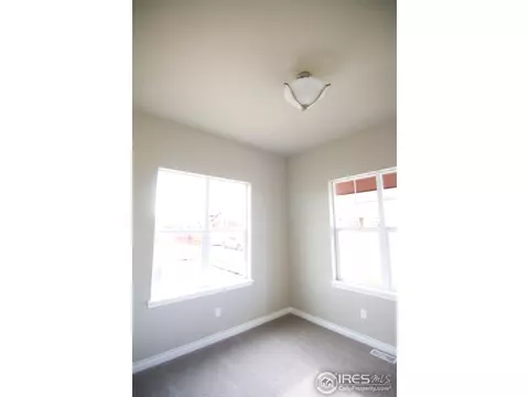 1609 Chokeberry St, Berthoud, CO 80513 photo 10