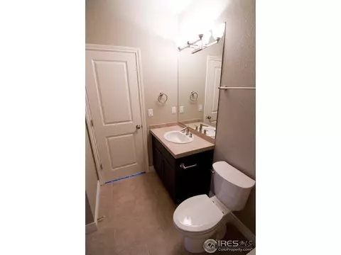 1609 Chokeberry St, Berthoud, CO 80513 photo 21