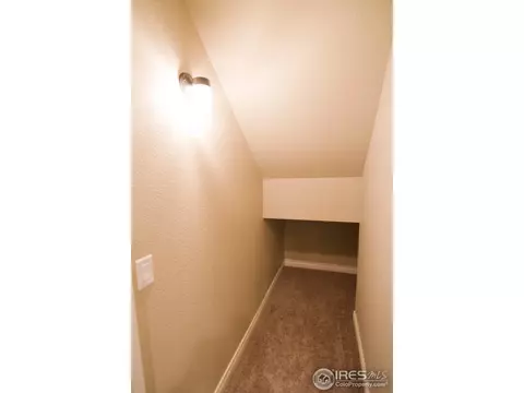 1609 Chokeberry St, Berthoud, CO 80513 photo 22