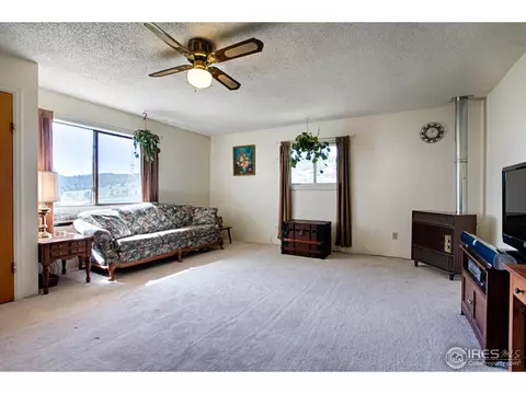 417 Mccolm St, Berthoud, CO 80513 photo 17