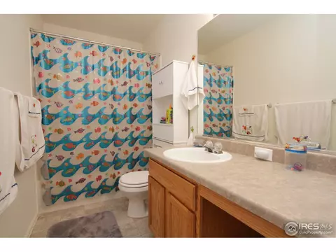 10729 Eldridge St, Firestone, CO 80504 photo 20