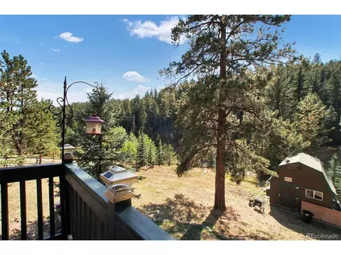 15 N Hill Dr, Bailey, CO 80421 photo 23