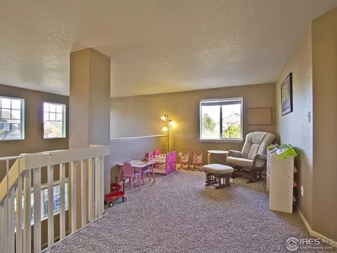 7981 Liley Ave, Frederick, CO 80530 photo 19