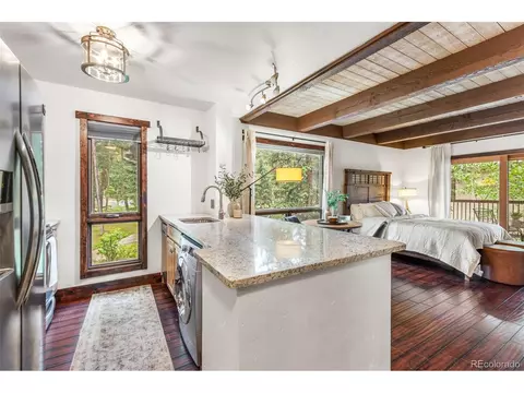 180 Broken Lance Dr #1, Breckenridge, CO 80424 photo 19