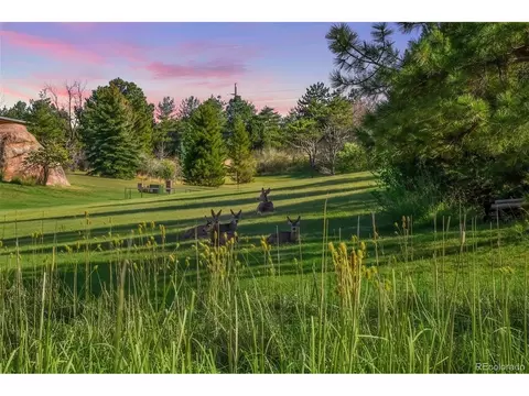 6154 Meadowbrook Dr, Morrison, CO 80465 photo 36
