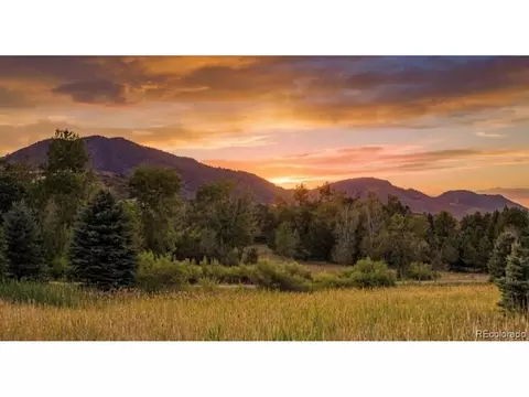 6154 Meadowbrook Dr, Morrison, CO 80465 photo 37