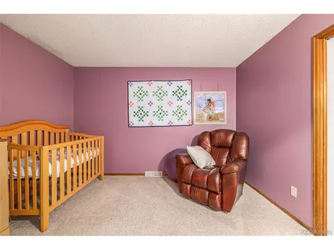641 Graefe Ave, Ault, CO 80610 photo 26