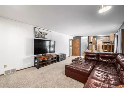 641 Graefe Ave, Ault, CO 80610 photo 18