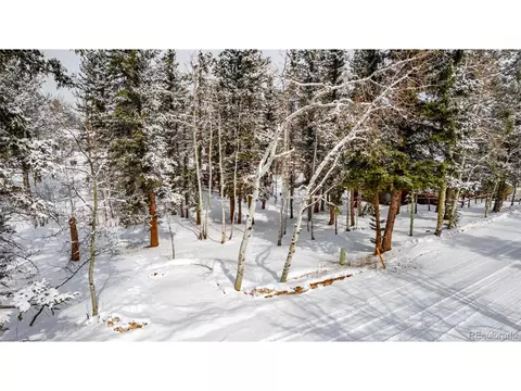 Undisclosed, Woodland Park, CO 80863