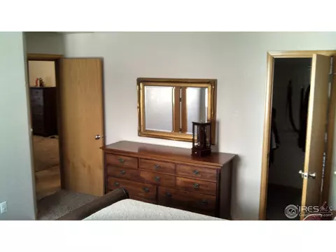 200 Whitney Bay, Windsor, CO 80550 photo 13
