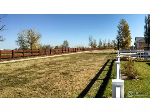 200 Whitney Bay, Windsor, CO 80550 photo 25